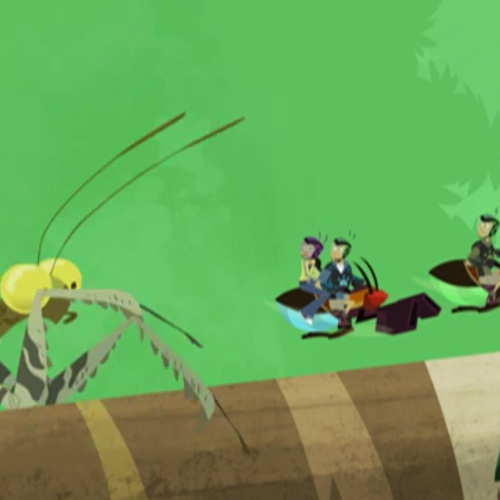 Blue Heron Wild Kratts Wiki Fandom