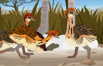 Ostrich | Wild Kratts Wiki | Fandom
