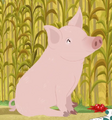 Domestic Pig.png (711 KB) Domestic Pig