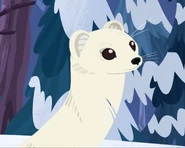 Erminator.jpg (135 KB)