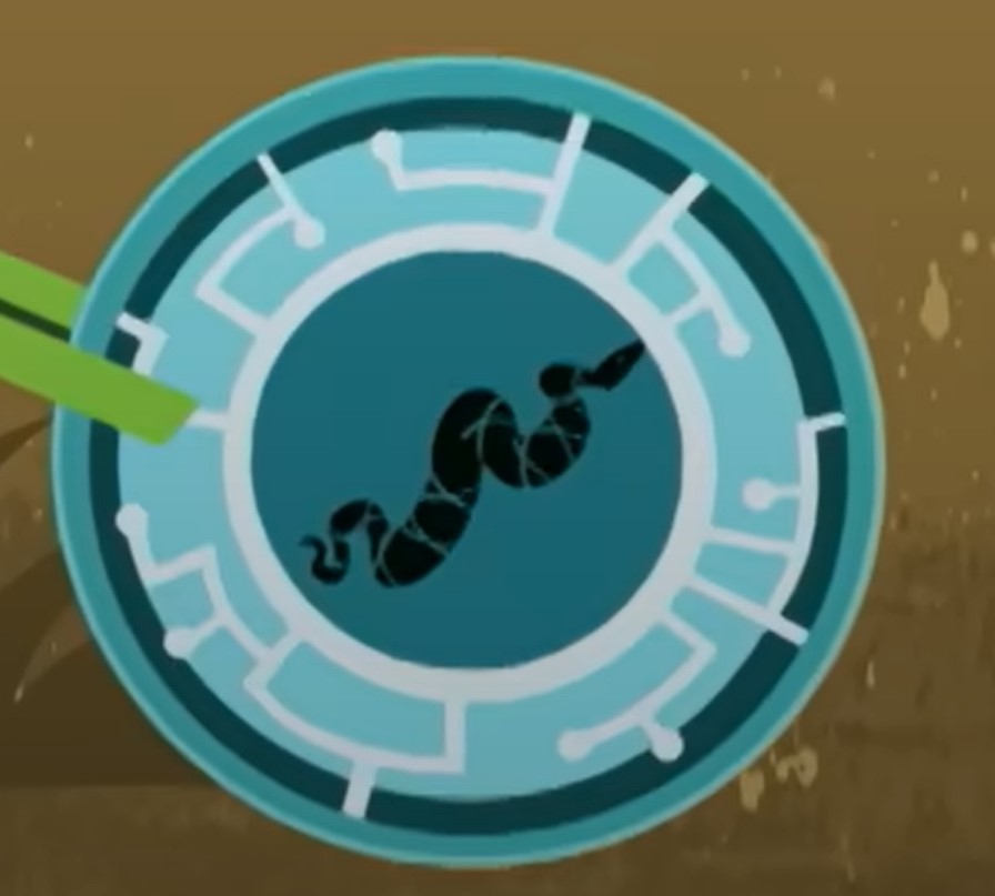 Wild Kratts Snake Power | atelier-yuwa.ciao.jp