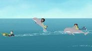 Dolphin.playing.wildkratts