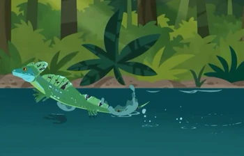 Walk on the Wetside | Wild Kratts Wiki | Fandom