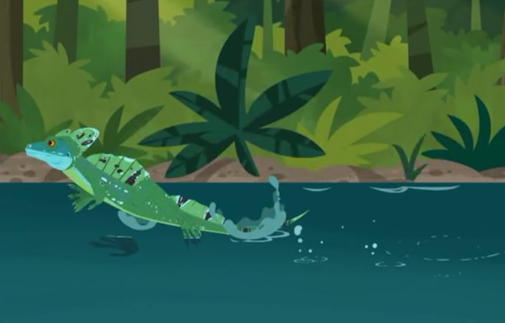 green basilisk lizard running on water