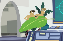 Wild kratts sales hummingbird full episode