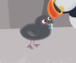 List of animal friends in Wild Kratts | Wild Kratts Wiki | Fandom List of animal friends in Wild Kratts | Wild Kratts Wiki | Fandom