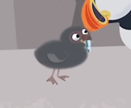 Puffbabypuffin