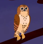 Pel's Fishing Owl (Scotopelia peli)