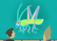 Crayola Katydid (Moncheca pretiosa)