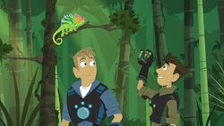 1022949-9-story-s-wild-kratts-takes-world-storm