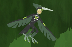 Woodpecker Power Wild Kratts Wiki Fandom