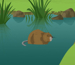 Norway Lemming, Wild Kratts Wiki