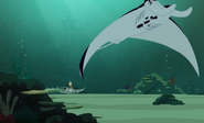 Sharks-Wild Kratts-10