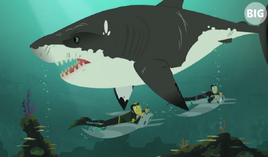 Sharks-Wild Kratts-21