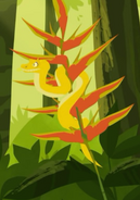 Eyelash Viper (Bothriechis schlegelii)