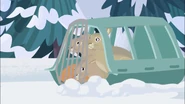Hispids in the snow.png (1.37 MB) The hispid hares are leaving the cage. But they aren't in a living environment where they can survive for long times.