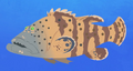 Goliath Grouper.png (674 KB) Goliath Grouper