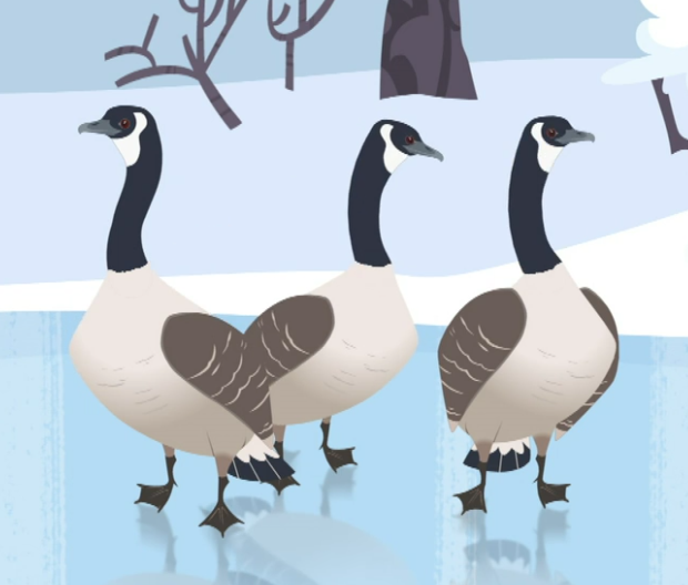 Canada Goose, Wild Kratts Wiki