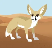 Fennec Fox (Vulpes zerda)