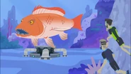 A red snapper is blocking the possiblity to return to normal size.