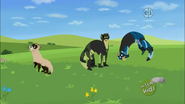 Black-footed Ferret Power | Wild Kratts Wiki | Fandom