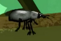 Dusky Darkling Beetle.png (68 KB) Dusky Darkling Beetle