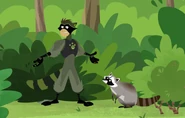 Bandito raccoon power.jpg (175 KB)
