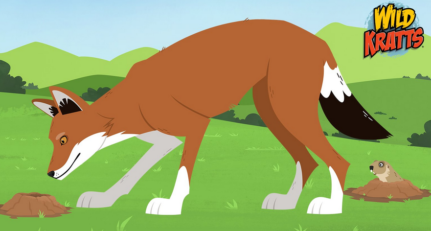 Ethiopian Wolf Wild Kratts Wiki Fandom