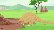 Ground Pangolin (Smutsia temminckii)