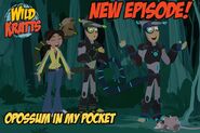 Promotional picture of this episode, from left to right: Aviva, Chris’ backpack, Chris and Martin in Opossum Power, and Jill with her joeys