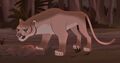 Floridalion.jpg (306 KB) Floridalion