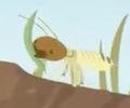 Harvester Termite.png (222 KB) Harvester Termite