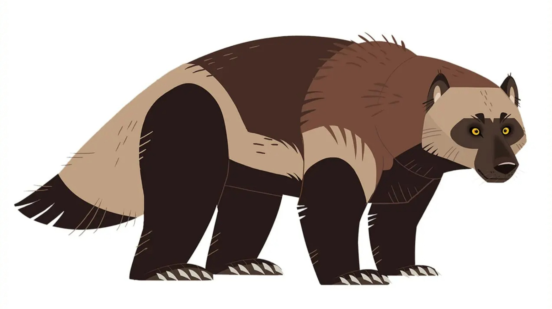 Gulo | Wild Kratts Wiki | Fandom