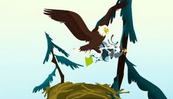 The Fourth Bald Eagle Wild Kratts Wiki Fandom | atelier-yuwa.ciao.jp