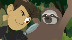 Wild kratts rainforest stew full episode deals