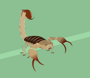 Scorpion-wild kratts