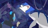 Whistle and Martin are cornered by the shark so they can't escape.