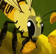 EuropeanHoneybee.jpeg.png (364 KB) Western Honeybee (Apis mellifera)