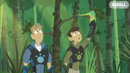 Chameleons on Target | Wild Kratts Wiki | Fandom