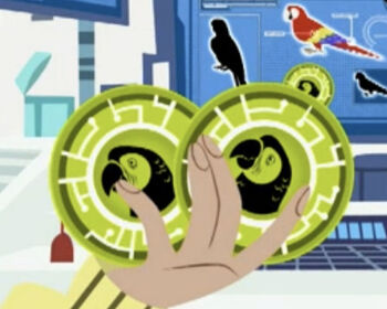 Parrot Power | Wild Kratts Wiki | Fandom