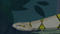 Reticulated Python.png (1.41 MB) Reticulated Python