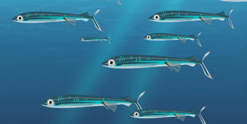 Atlantic Flying Fish | Wild Kratts Wiki | Fandom