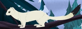 Animation (Winter)