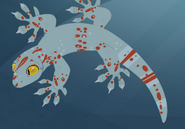 Tokay Gecko (Gekko gecko)