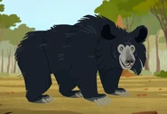Shaggyvac.png (409 KB) Sloth Bear (Melursus ursinus)