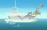 Speaking Dolphinese | Wild Kratts Wiki | Fandom