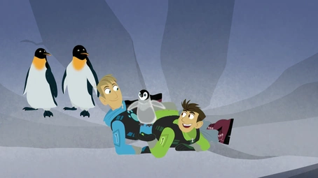 Mystery of the North Pole Penguins? | Wild Kratts Wiki | Fandom