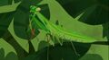 PrayingMantis.jpg (68 KB) PrayingMantis