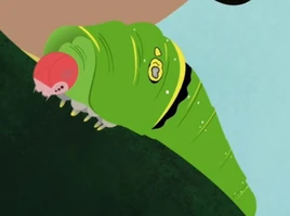Animated (Larva)