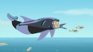 Bottlenose Dolphin Power | Wild Kratts Wiki | Fandom